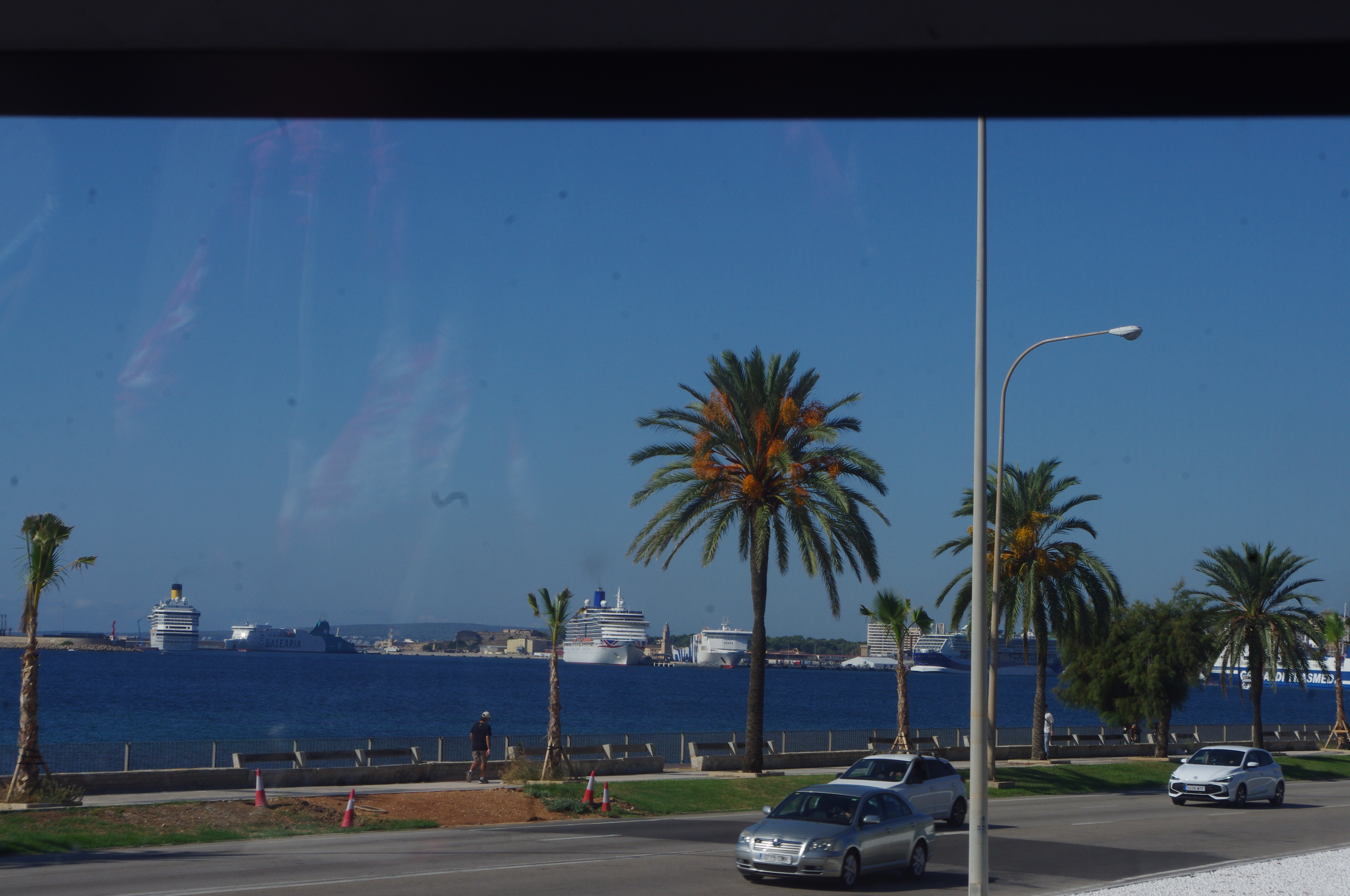Palma